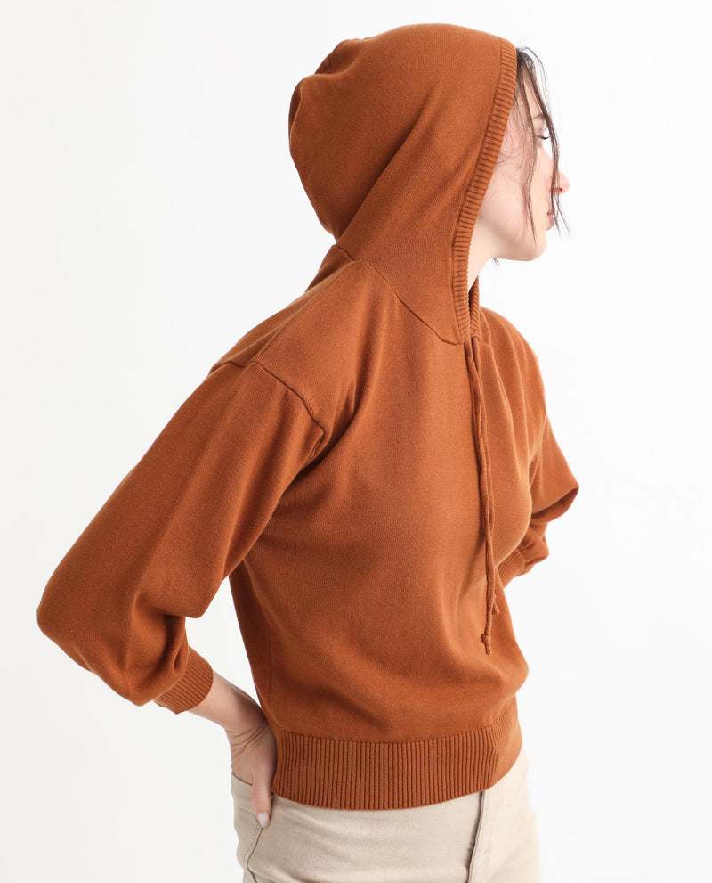 Rareism Women's Finn Sweat Rust Cotton Fabric Full Sleeves Relaxed Fit Solid Hooded Sweater